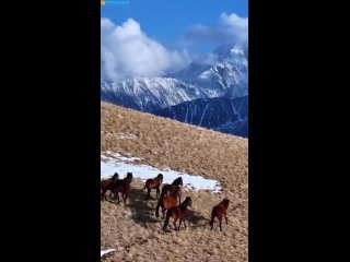 Невероятная Северная Осетия