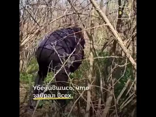 Благодарность в глазах мамы-собаки не описать словами 💔