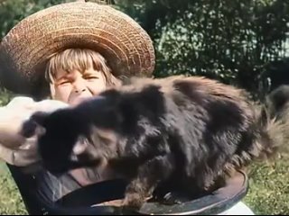 A cat video from 1899 colorized and speed corrected