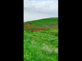 Tajikistan---- _tajikistan _travel _traveltajikistan _nature _mountains(1080P_HD).mp4