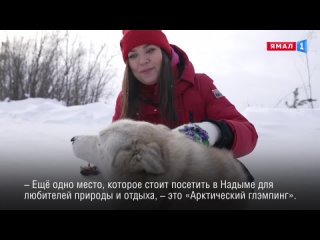 На Ямале классно. Надым