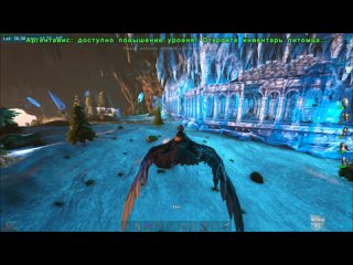 ARK  Survival Evolved  -