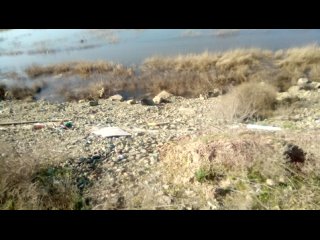 Уровень  воды в  дамбе   г. Орске (VID_20240420_091612)