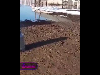 По всей России весенние паводки топят села  вода не щадит ни подворья, ни технику, ни людей, ни дома