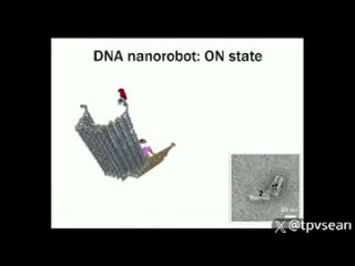 ДНК-нанороботы в мРНК-вакцинах меняют ДНК людей и превращают их в киборгов