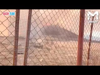 🇷🇺 Трагедия в Хасанском районе: стадо оленей спасается от подступающего пламени
