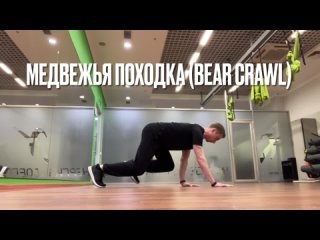 Медвежья походка / медведь (Bear crawl)