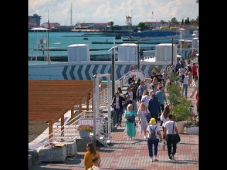 Солнечный Сочи, 15 мая (видео)