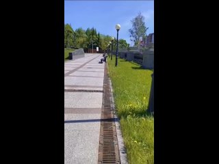 В парке Победы прошла операция по спасению маленькой уточки  Малышка провалилась в ливневку, а ее достали и вернули... (видео)