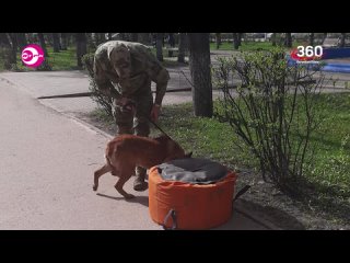 “Беспилотник обнаружили на ул. Некрасова“