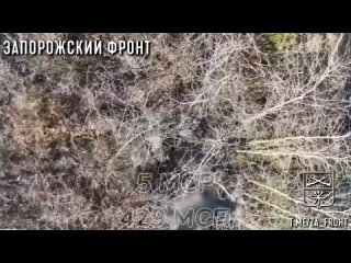 Drone Operators of the 429th regiment guard the positions of the Ukrainian Armed Forces in the Zaporozhye region with snipers