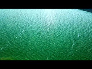 Липецкое море - Матырское водохранилище и его дамба