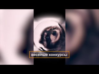 Video by Мебельный Турслет Лига Мастеров