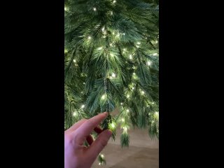 Видео от  | Искусственные елки