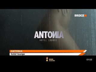 Antonia - Hotel lounge [Bridge] (16+)