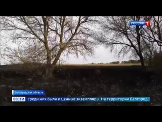 Видео от Екатеринбург и Область Моторазбор Мото рынок