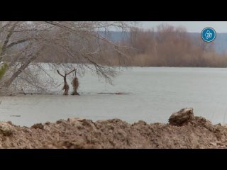 Уровень воды в реке Ишим в районе Ишима повысился почти до 7 метров (критическая - 850)