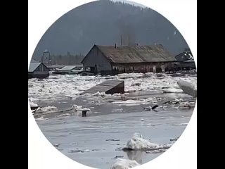 Паводок в Кузбассе. Видео
