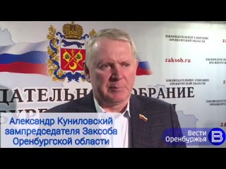 Безнадзорных животных в Оренбуржье разрешили гуманно умерщвлять