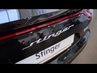 Kia Stinger: ВЗРЫВНАЯ СМЕСЬ стиля и скорости! Перевернул мнение о бренде Kia