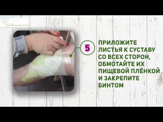 Капустный лист от боли в суставах и позвоночнике  как делать компресс, почему это всегда работает