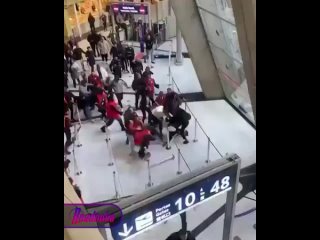 Several people were injured in a fight between a crowd of Parisians and airport staff escorting a Kurdish activist to a plane fo