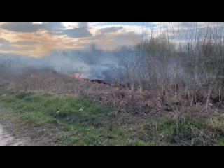 Накануне, между СНТ Степное и Русское поле произошёл очередной ландшафтный пожар