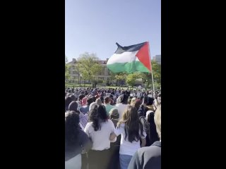 Студенты Университета Огайо, третьего по величине университета в США, провели про-палестинскую демонстрацию.
