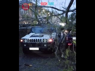 🇷🇺 Штормовая погода в Сочи: повалены сотни деревьев, в горах выпал снег