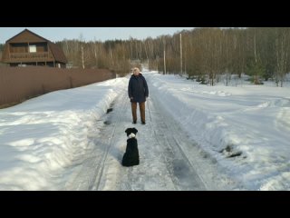 💚зелёные. Ежова Галина и Сильва. Задание 2 доп.