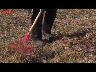 Видео от Подслушано в Ачинске