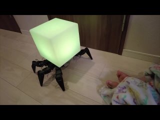 Чувак из Японии решил смастерил паука-светильника — он может передвигаться по дому и освещать путь.