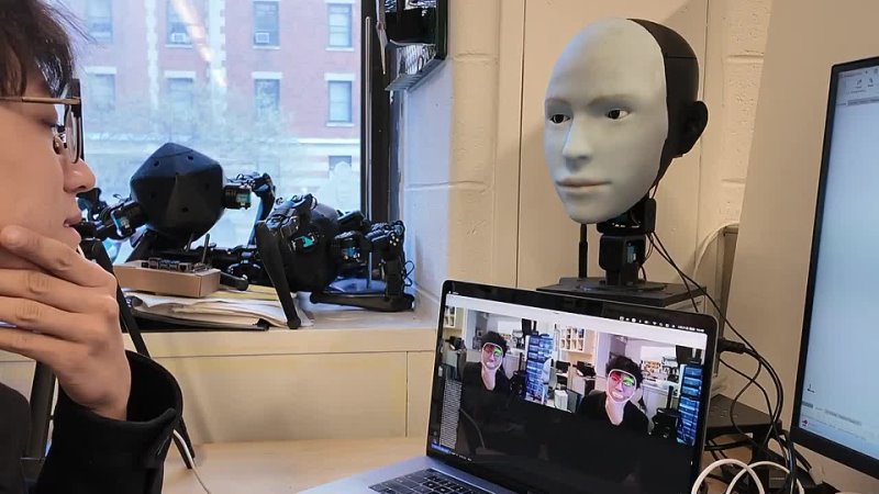 Human Robot Facial Co