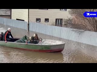Дачные посёлки под Оренбургом уже затоплены на 3 метра