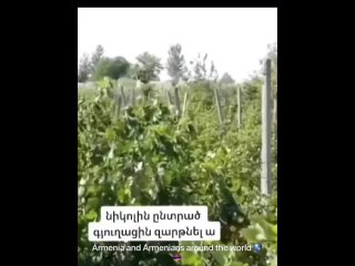 Video by Союз Патриотов Армении