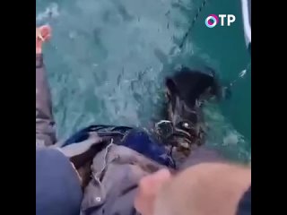 «Дедуль, держим»: пожилой рыбак заснул и выпал из лодки в Приморье