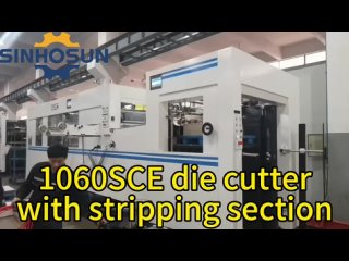 Die cutter with stripping section