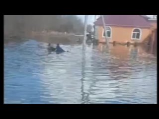 Пьяный оренбуржец упал в холодную воду в селе им. 9 января Оренбургского района