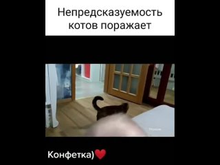 Неожиданно получилось