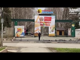 Vdeo de Молодёжь ЛДПР в Алтайском крае