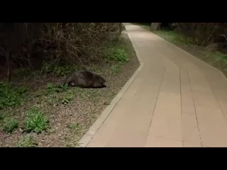 Видео от Москва. Некрасовка. ЮВАО