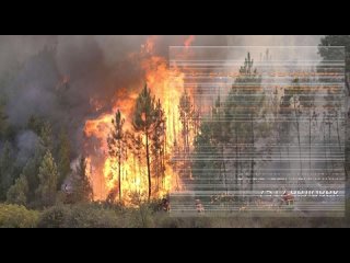 В лесах Кировской области начался пожароопасный период