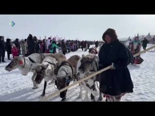 Ямалын шедöдiсны гастрономическöй рекорд