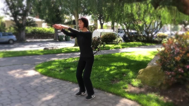 Qi Gong for Mind Body with Dr.