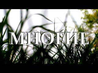 ВОЧМАН НИ - МНОГИЕ