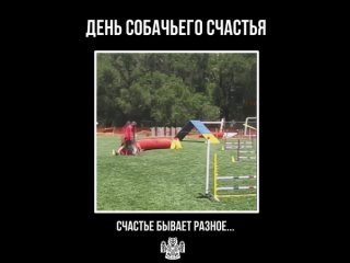 Видео от Хаски банда 33