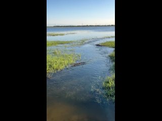 Видео от База отдыха КИГАЧ-КЛУБ в Астрахани. Река Кигач