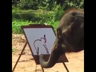 Рисунок от слона