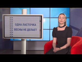 ️ «Одна ласточка весны не делает» — откуда пошло такое выражение? Историей пословицы поделилась учитель барнаульской школы № 126