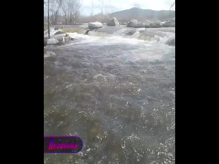 В Хабаровском крае из-за перелива воды через дамбу затопило целый поселок